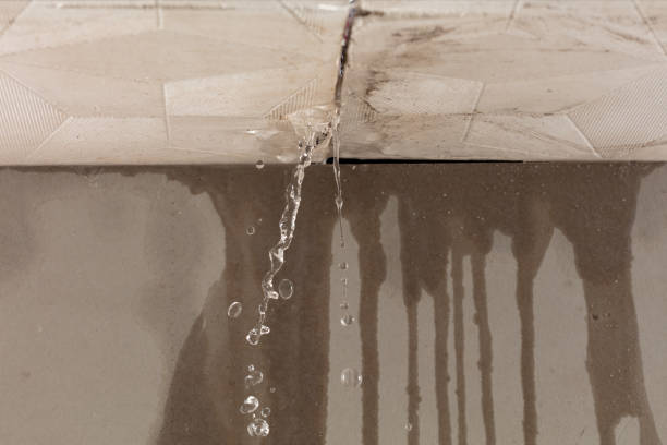 Professional Structural Drying technician working in Burlingame, CA